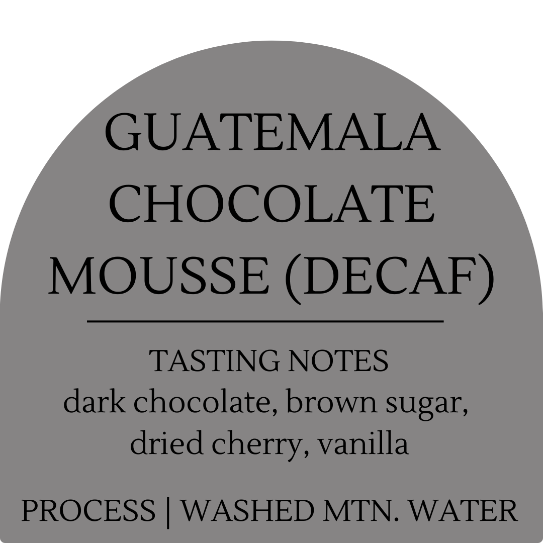 Guatemala Chocolate Mousse