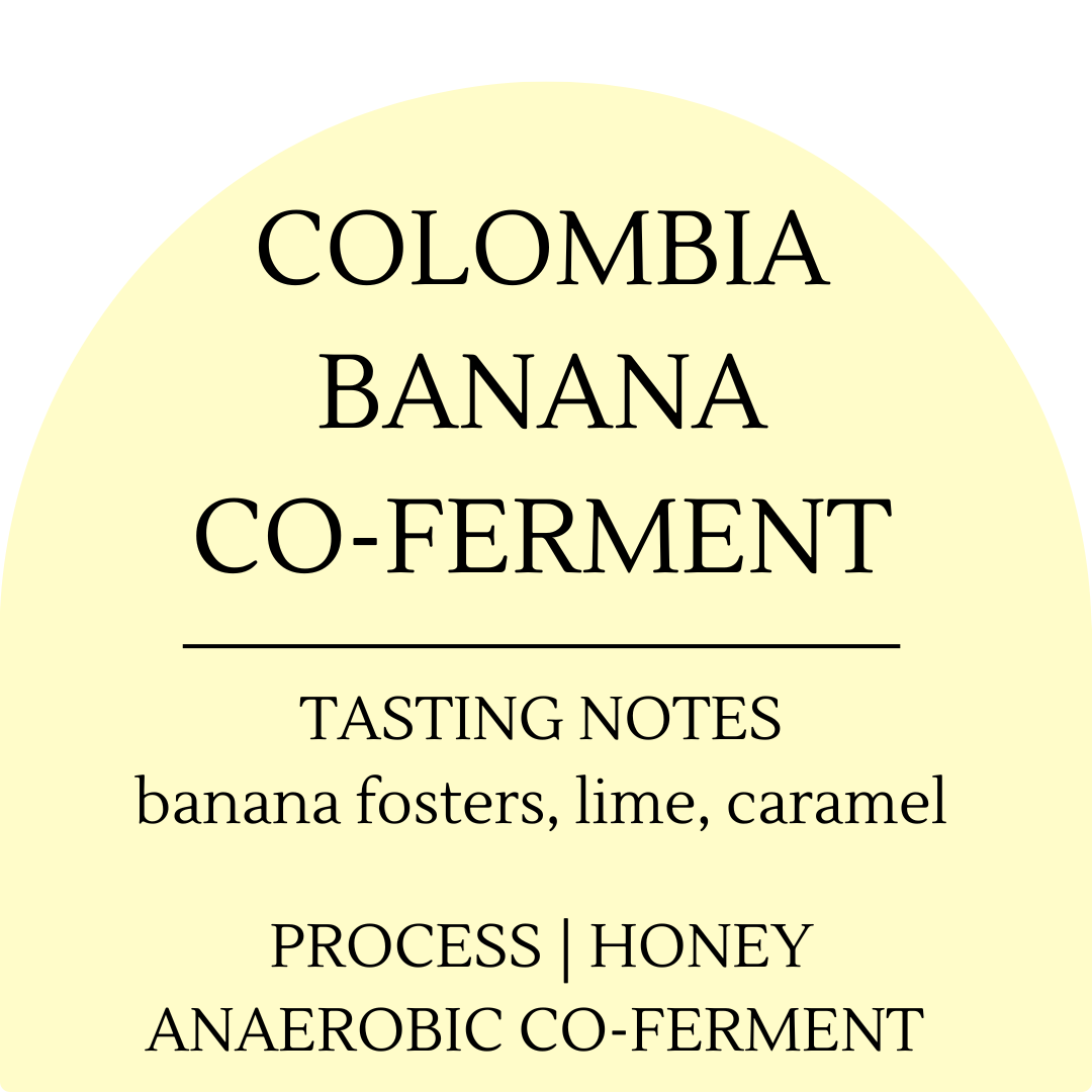 Colombia Banana Co-Ferment