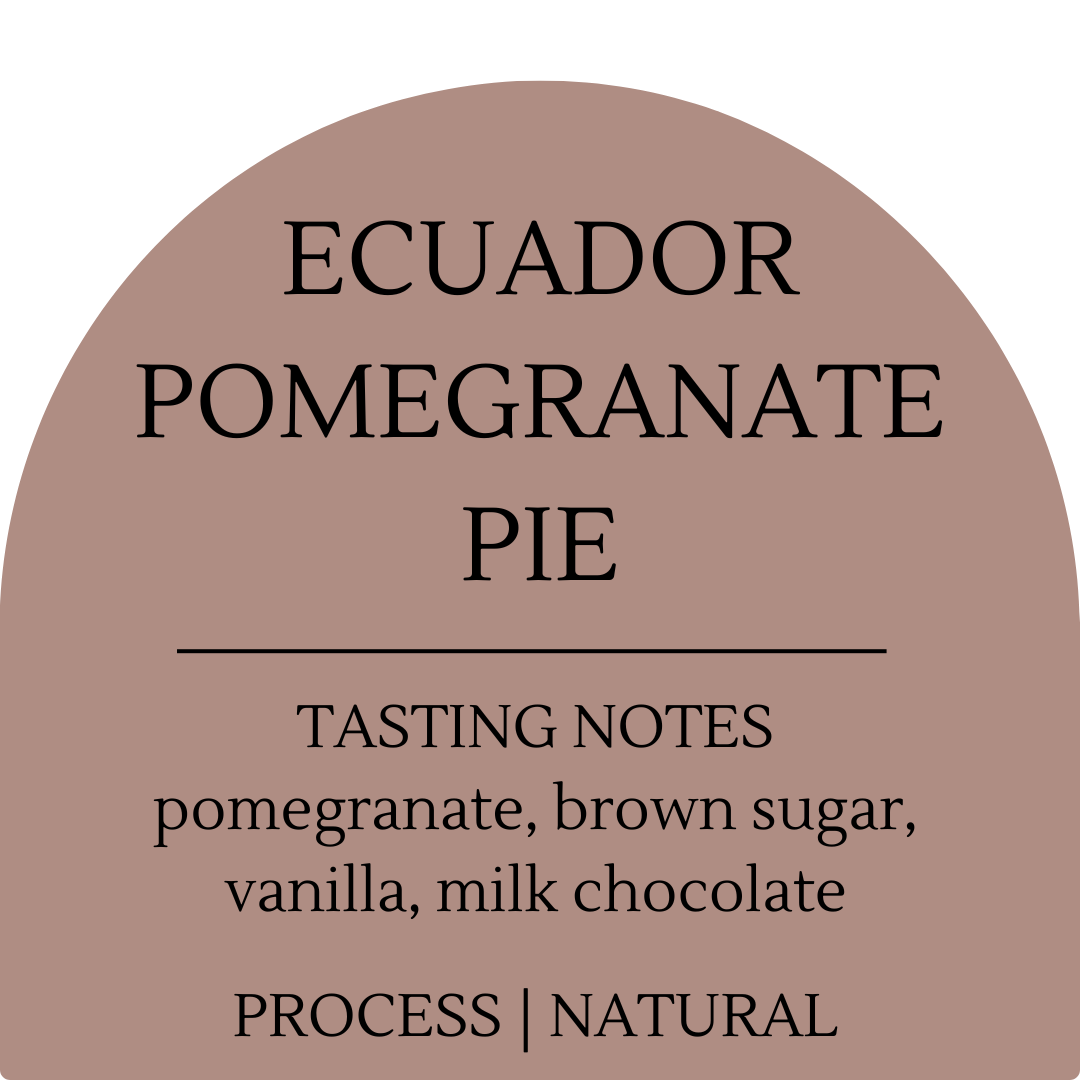 Ecuador Pomegranate Pie