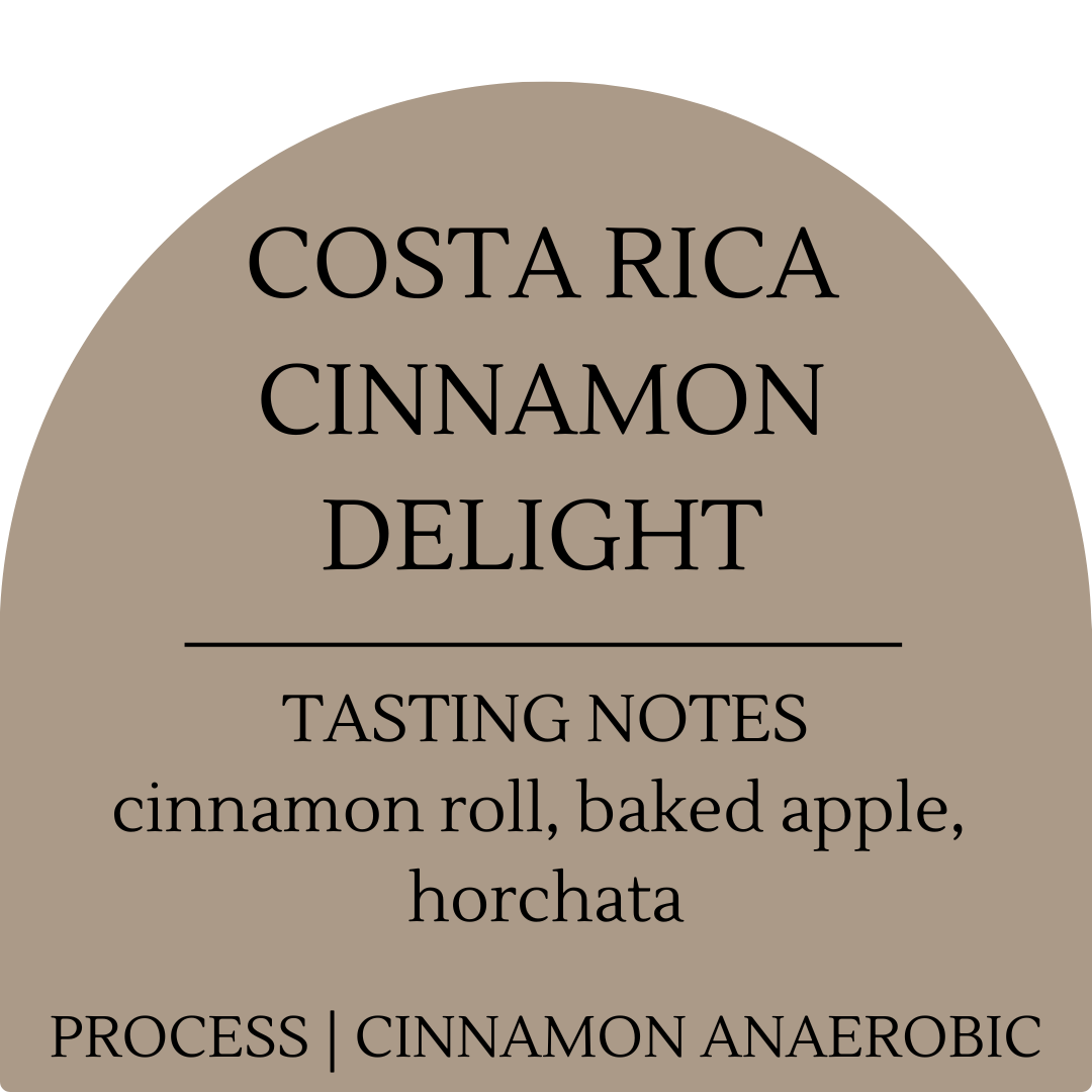 Costa Rica Cinnamon Delight