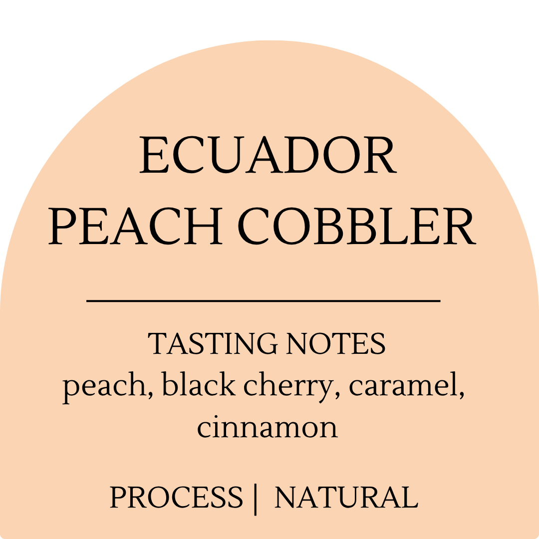 Ecuador Peach Cobbler