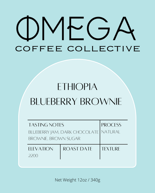 Ethiopia Blueberry Brownie