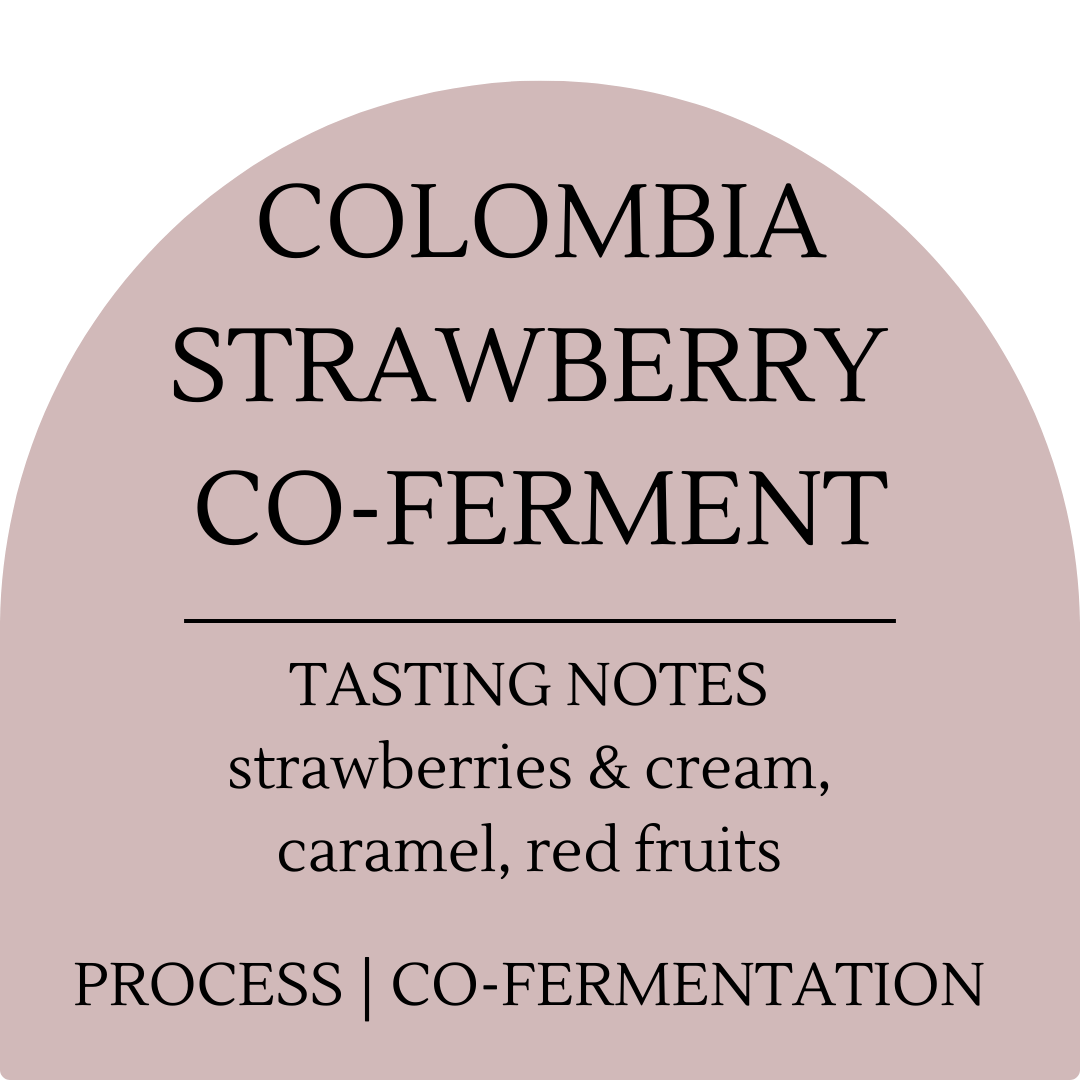 Colombia Strawberry Co-Ferment