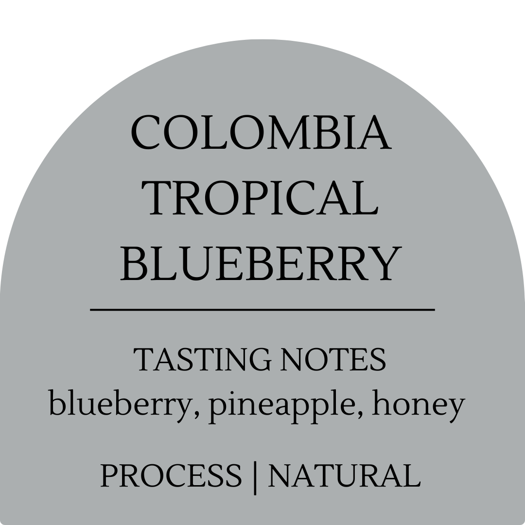 Colombia Tropical Blueberry