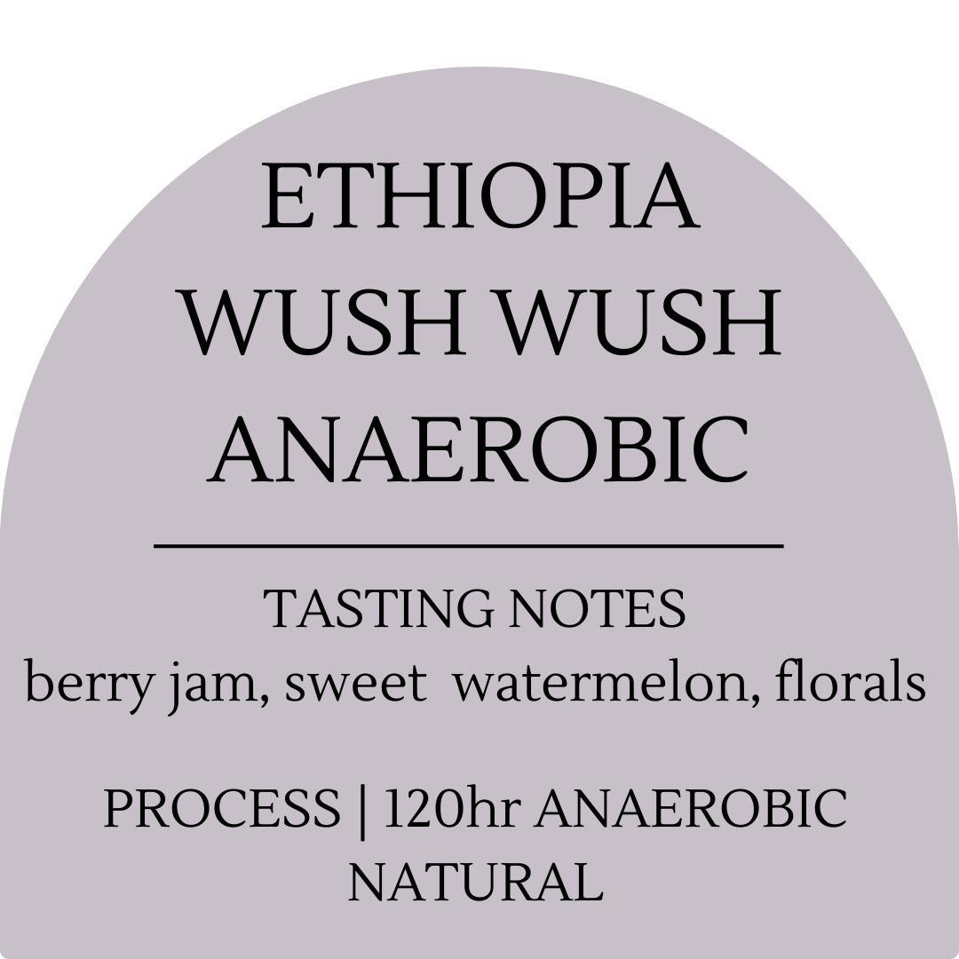 Ethiopia Wush Wush